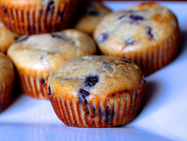 coconut blueberry muffins